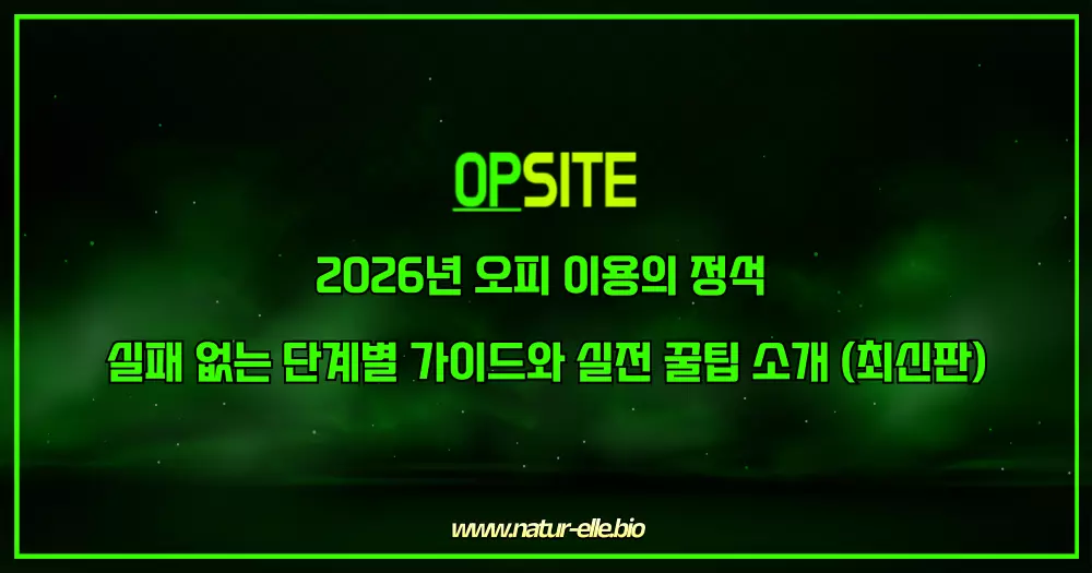 2026년 오피 이용의 정석 실패 없는 단계별 가이드와 실전 꿀팁 소개 (최신판)