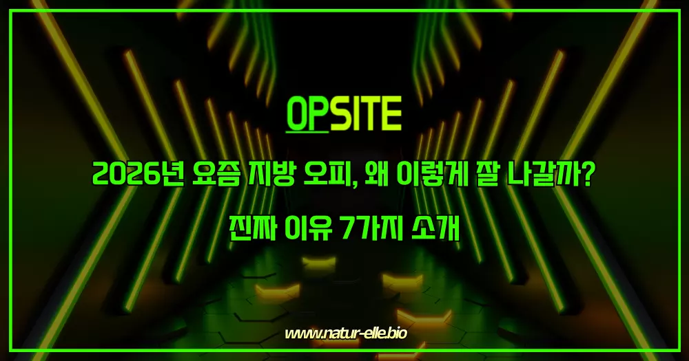 2026년 요즘 지방 오피, 왜 이렇게 잘 나갈까 진짜 이유 7가지 소개