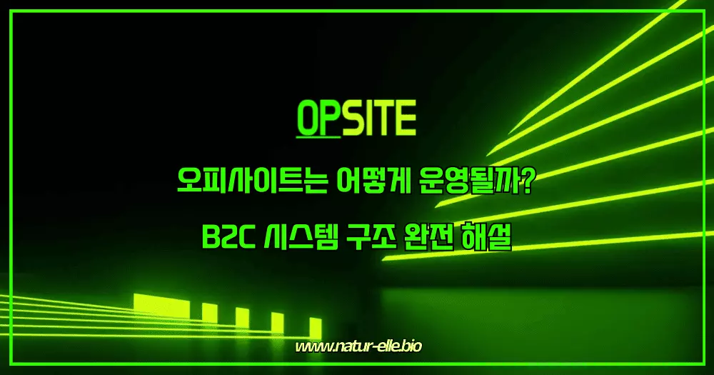 오피사이트는 어떻게 운영될까 B2C 시스템 구조 완전 해설