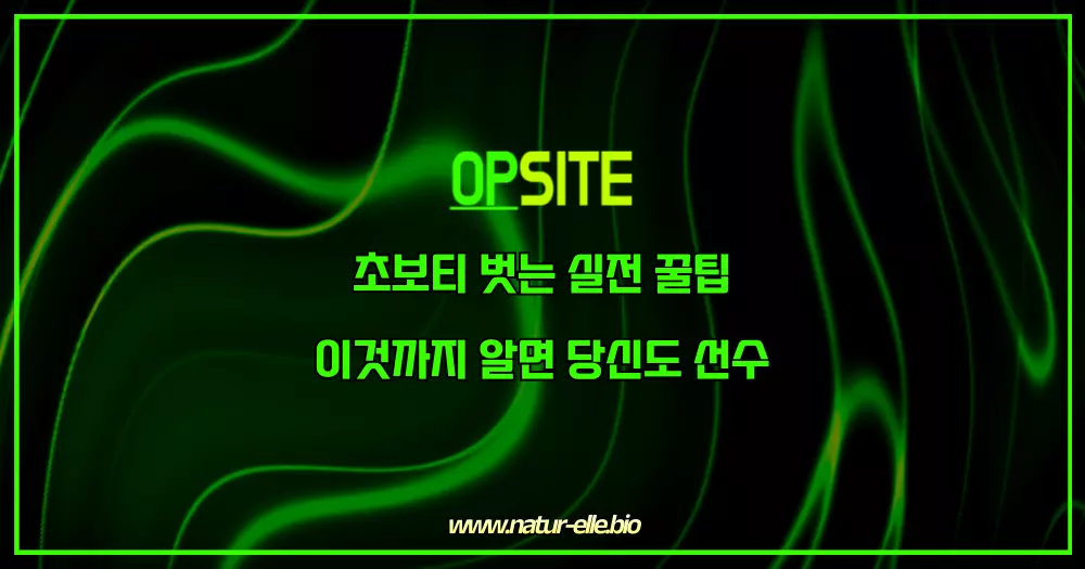 초보티 벗는 실전 꿀팁 이것까지 알면 당신도 선수